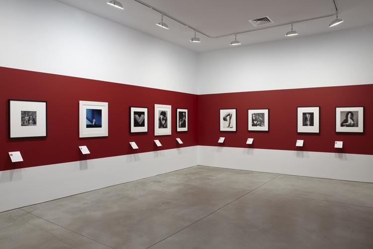 Robert Mapplethorpe Sean Kelly Gallery