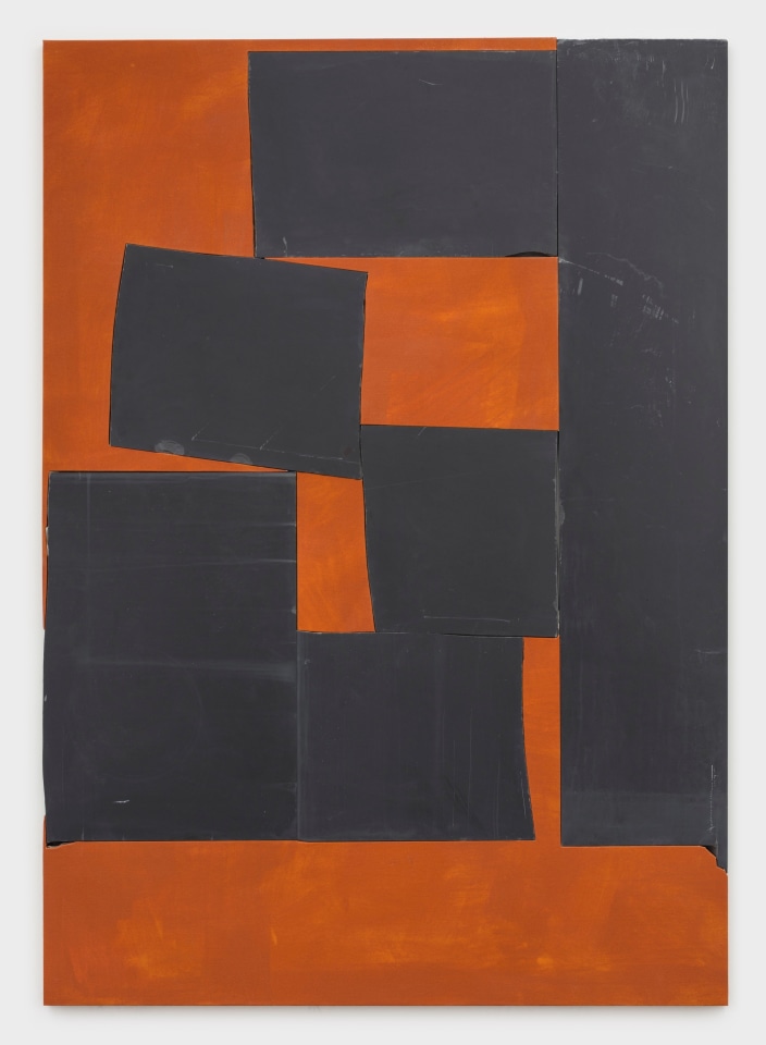 SAM MOYER Morocco Poppy, 2019