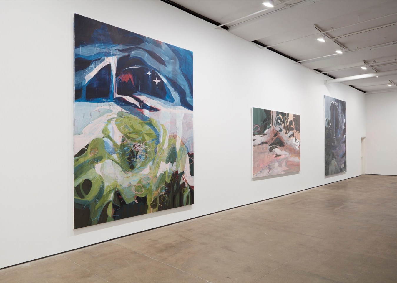 Installation view of&nbsp;Janaina Tsch&auml;pe: HumidGray and ShadowLake&nbsp;at Sean Kelly, New York