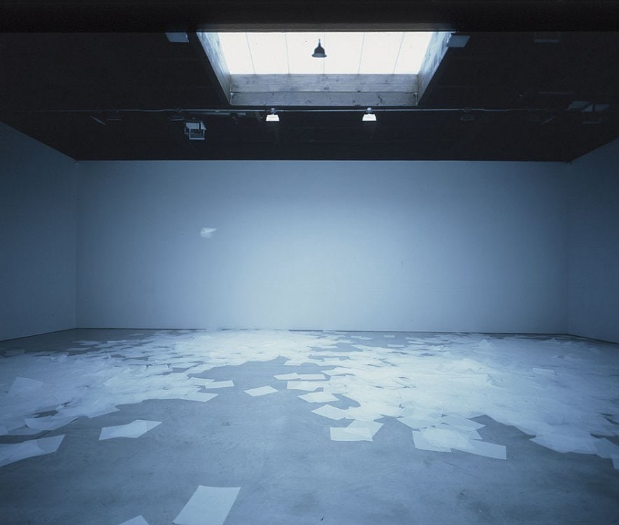 Ann Hamilton Sean Kelly Gallery