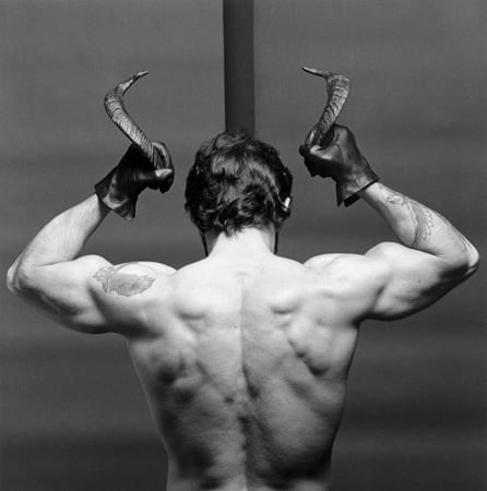 Robert Mapplethorpe Sean Kelly Gallery