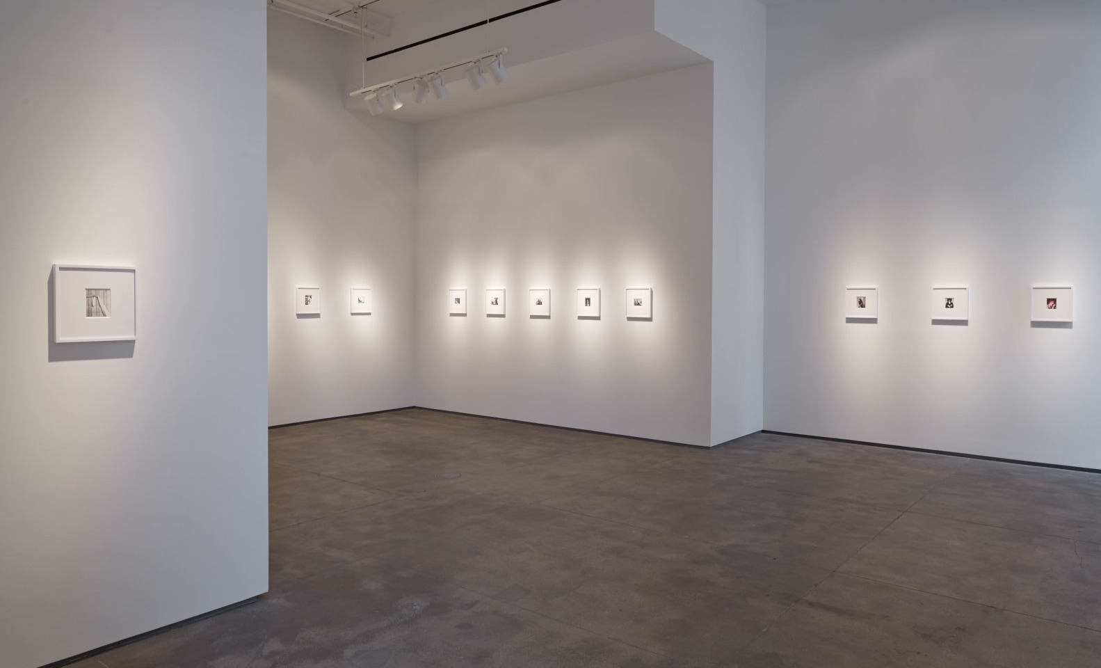 Robert Mapplethorpe Sean Kelly Gallery
