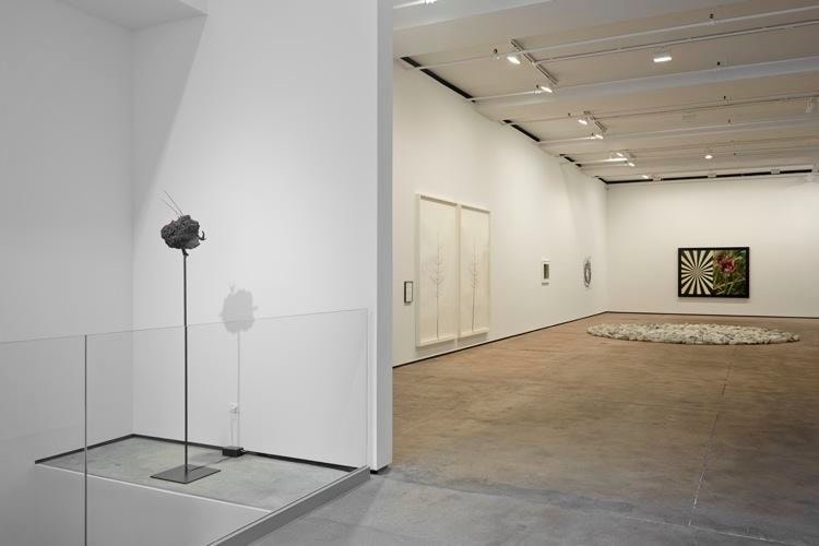 On Nature Sean Kelly Gallery