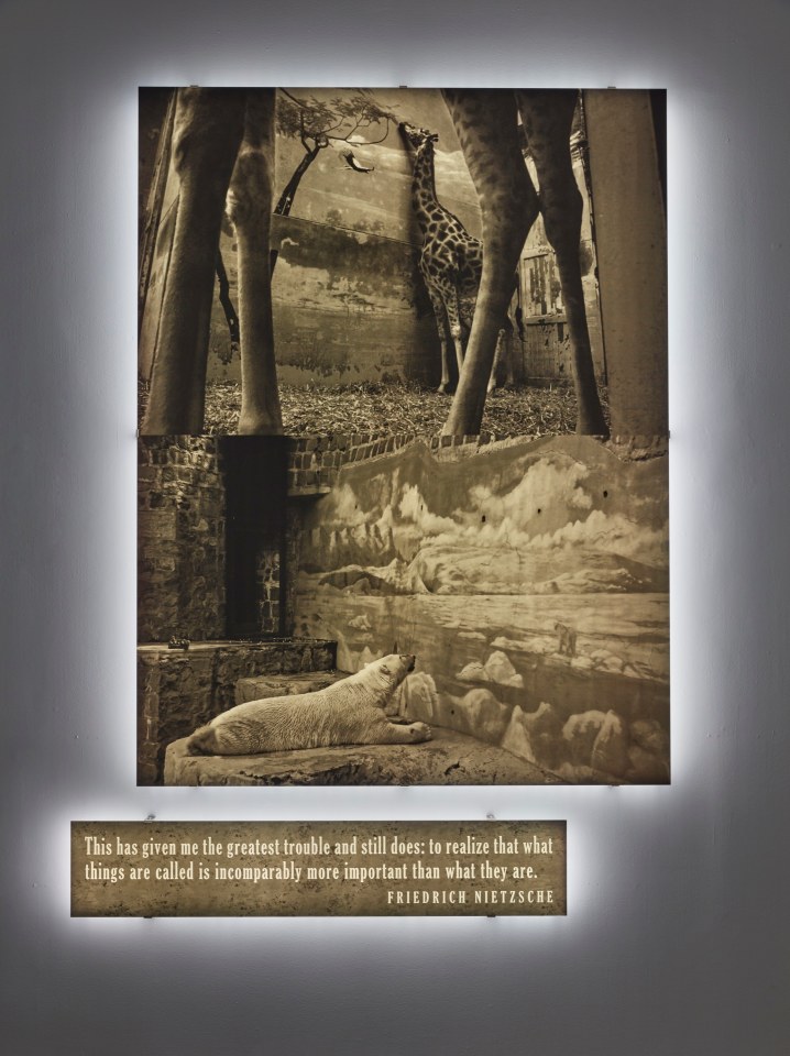 &#039;Illumination (Existential Time) #3&#039;, 2020