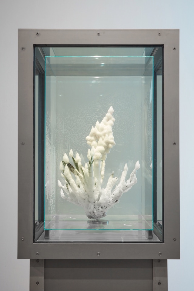 Julian Charriere Sean Kelly Gallery