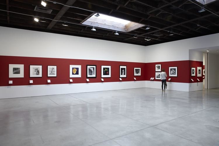 Robert Mapplethorpe Sean Kelly Gallery