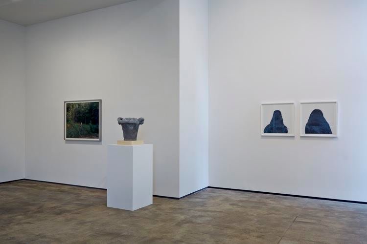 On Nature Sean Kelly Gallery