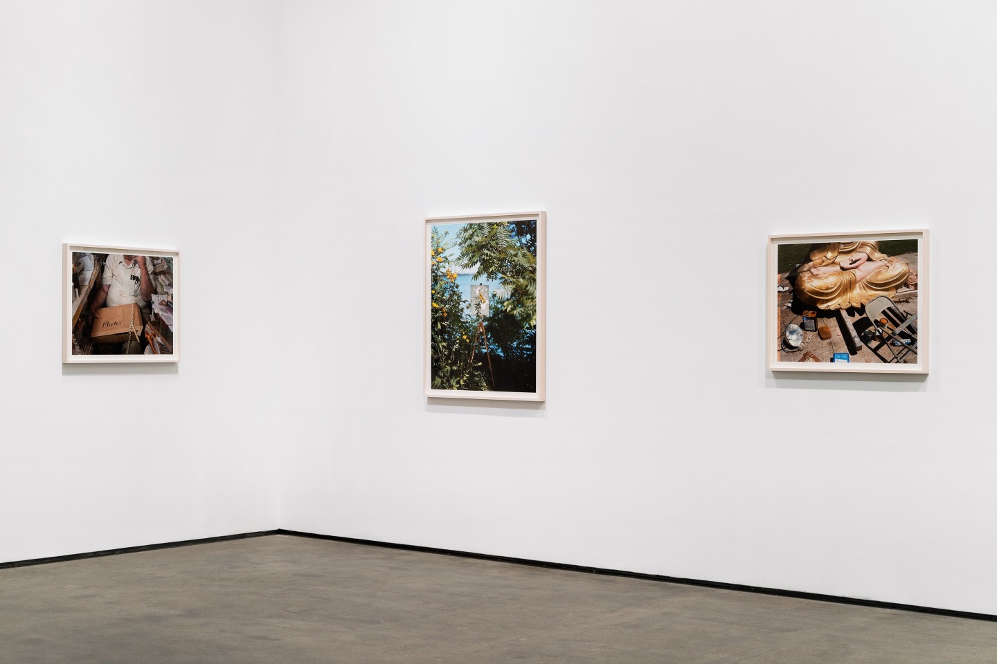 Alec Soth - A Pound of Pictures - Exhibitions - Sean Kelly
