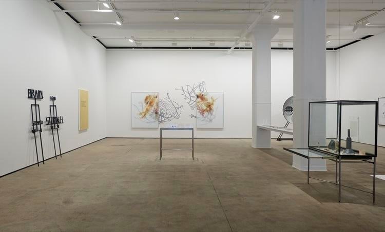 'Pataphysics: A Theoretical Exhibition Sean Kelly Gallery