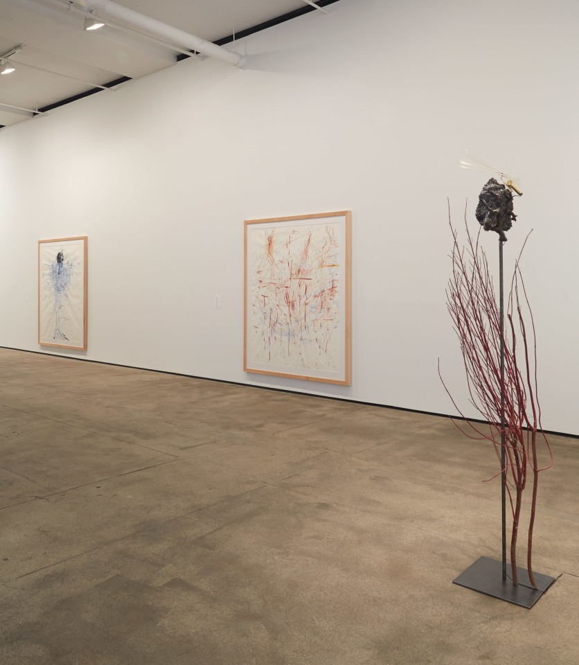 Rebecca Horn Sean Kelly Gallery