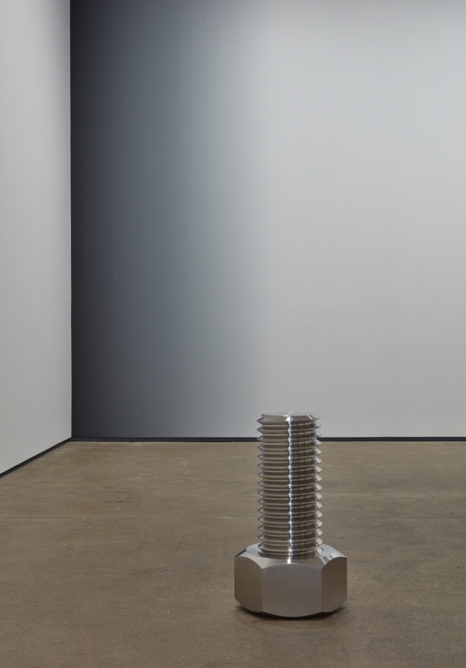 Iran do Espirito Santo Sean Kelly Gallery