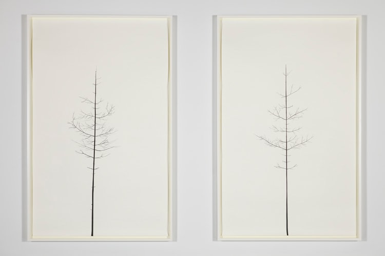 Peter Liversidge Sean Kelly Gallery