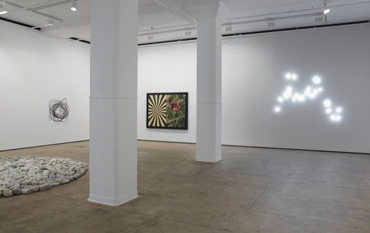 On Nature Sean Kelly Gallery