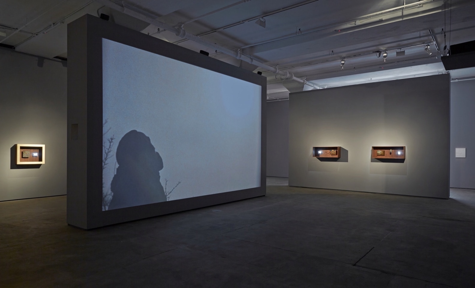 Laurent Grasso Sean Kelly Gallery
