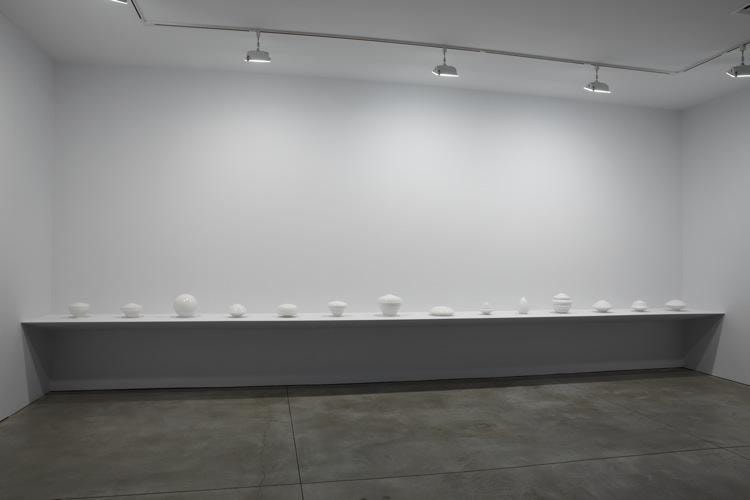 Iran do Espirito Santo Sean Kelly Gallery