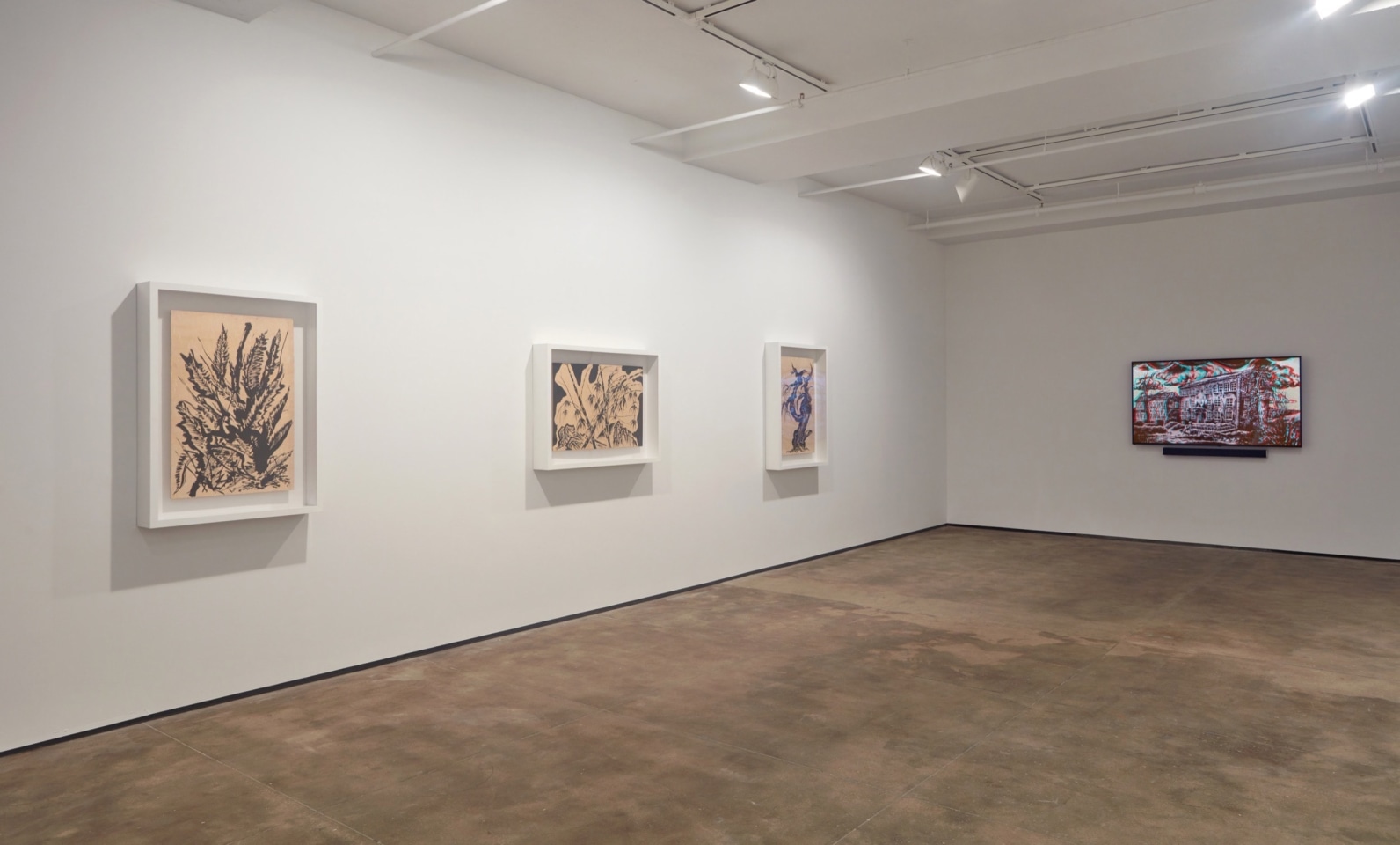Sun Xun Sean Kelly Gallery
