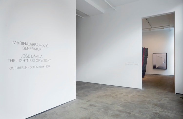 Marina Abramovic Sean Kelly Gallery