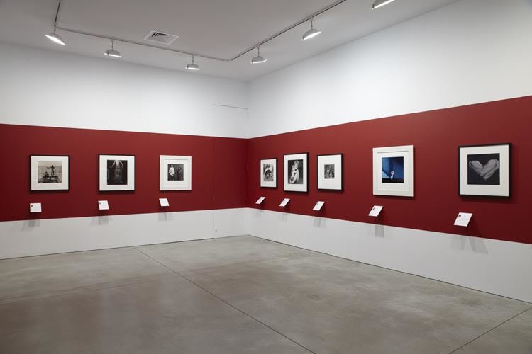Robert Mapplethorpe Sean Kelly Gallery