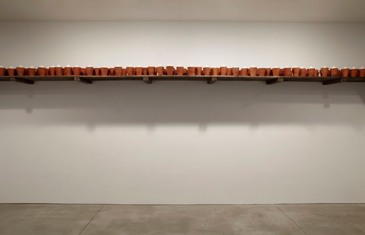 Wolfgang Laib Sean Kelly Gallery