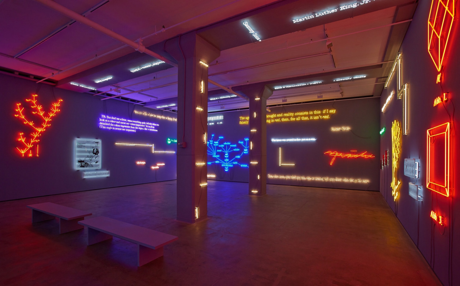 'Agnosia, an Illuminated Ontology' Sean Kelly Gallery