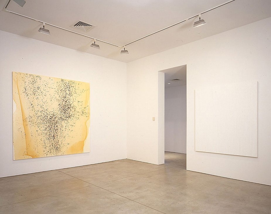 Callum Innes Sean Kelly Gallery
