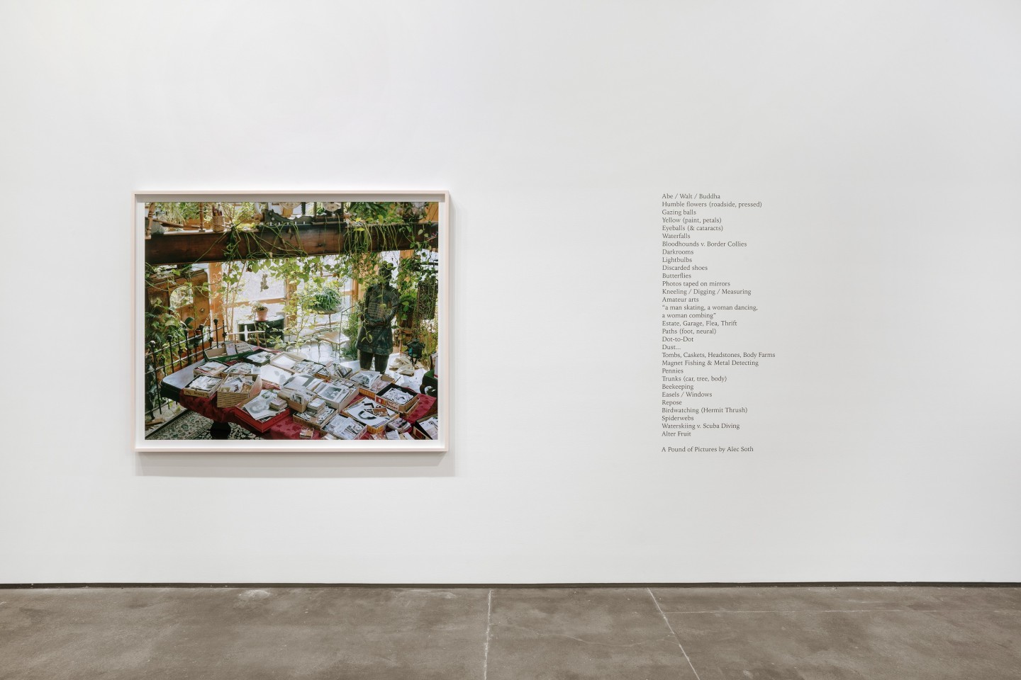 Alec Soth: A Pound of Pictures