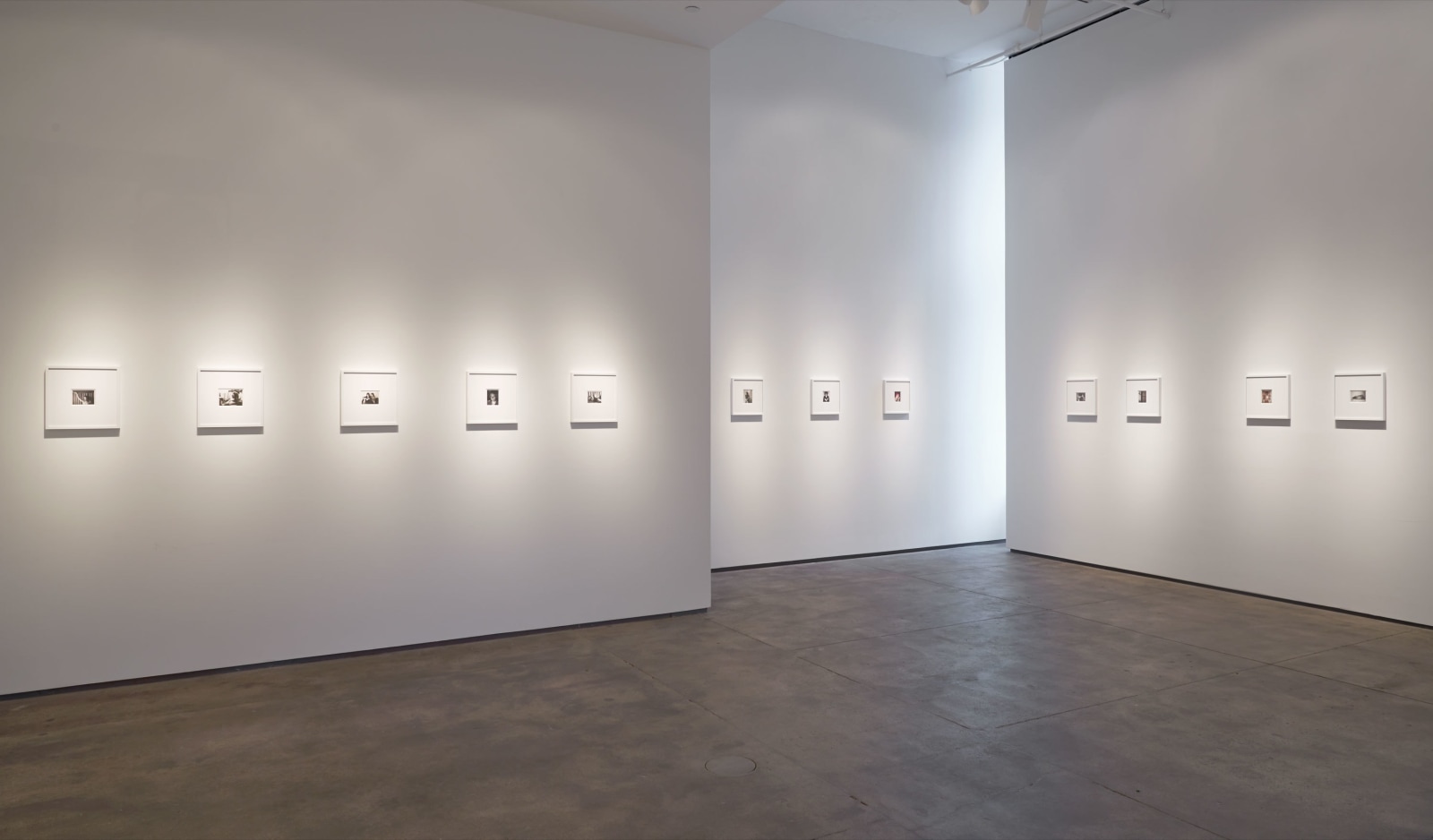 Robert Mapplethorpe Sean Kelly Gallery