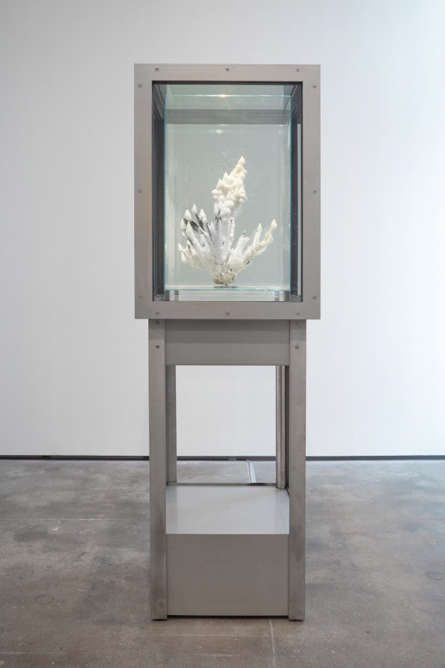 Julian Charriere Sean Kelly Gallery