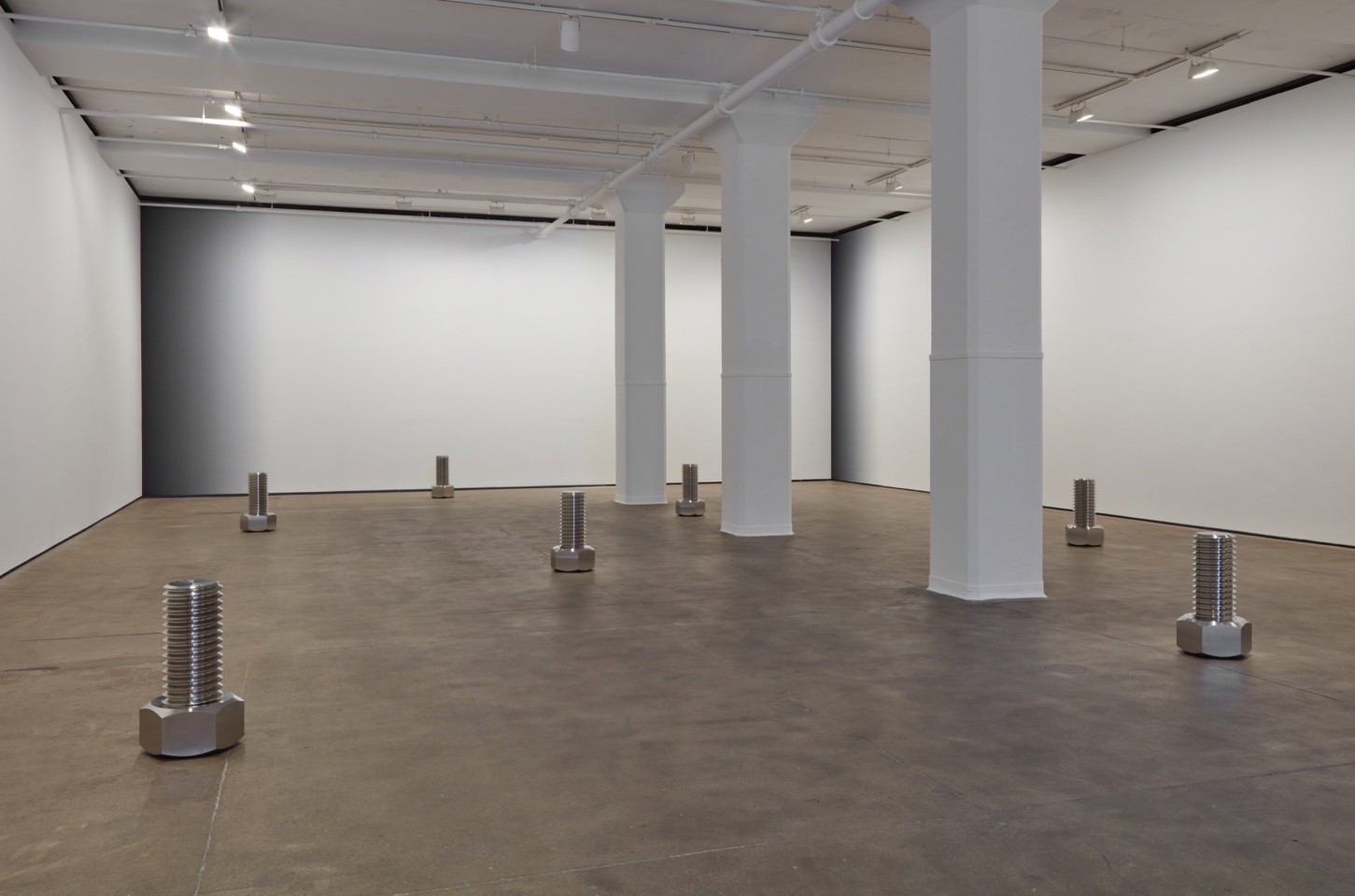 Iran do Espirito Santo Sean Kelly Gallery