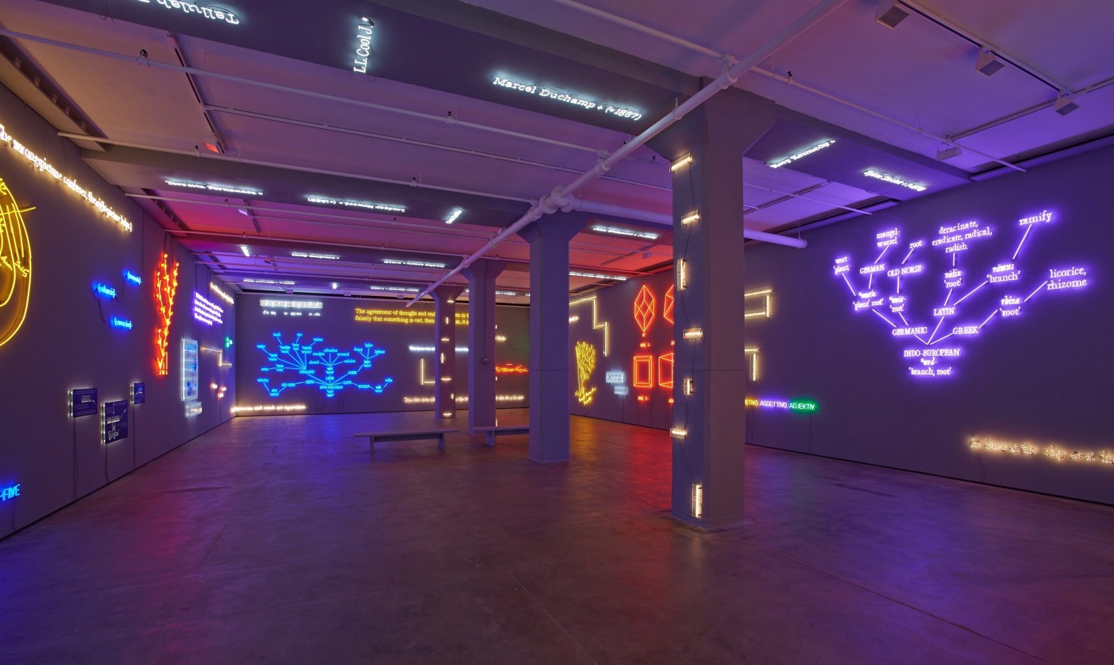 'Agnosia, an Illuminated Ontology' Sean Kelly Gallery