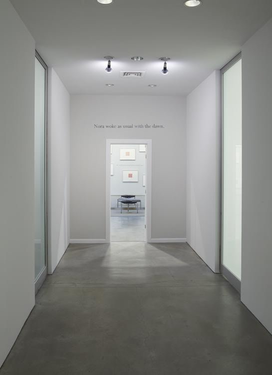 Callum Innes Colm Toibin Sean Kelly Gallery