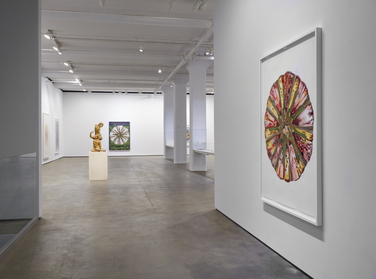 Installation view of Shahzia Sikander: Weeping Willows, Liquid Tongues at Sean Kelly, New York