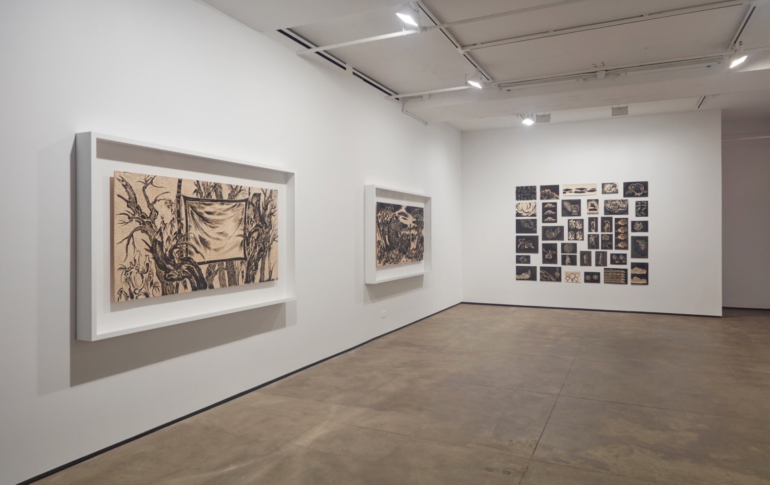 Sun Xun Sean Kelly Gallery