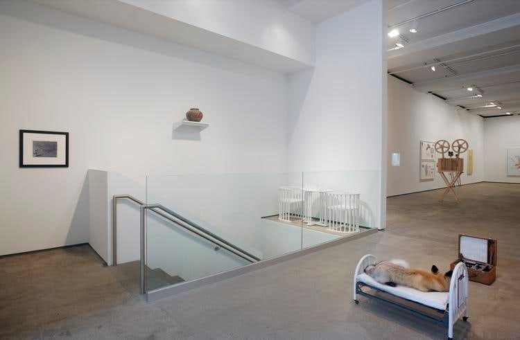 'Pataphysics Sean Kelly Gallery