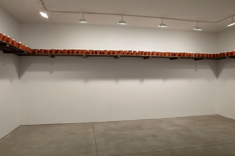 Wolfgang Laib Sean Kelly Gallery