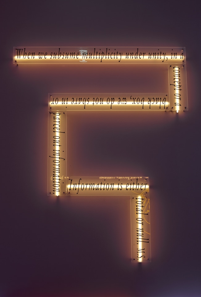 Joseph Kosuth Sean Kelly Gallery