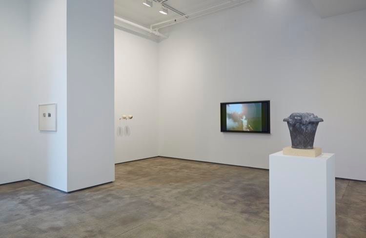 On Nature Sean Kelly Gallery