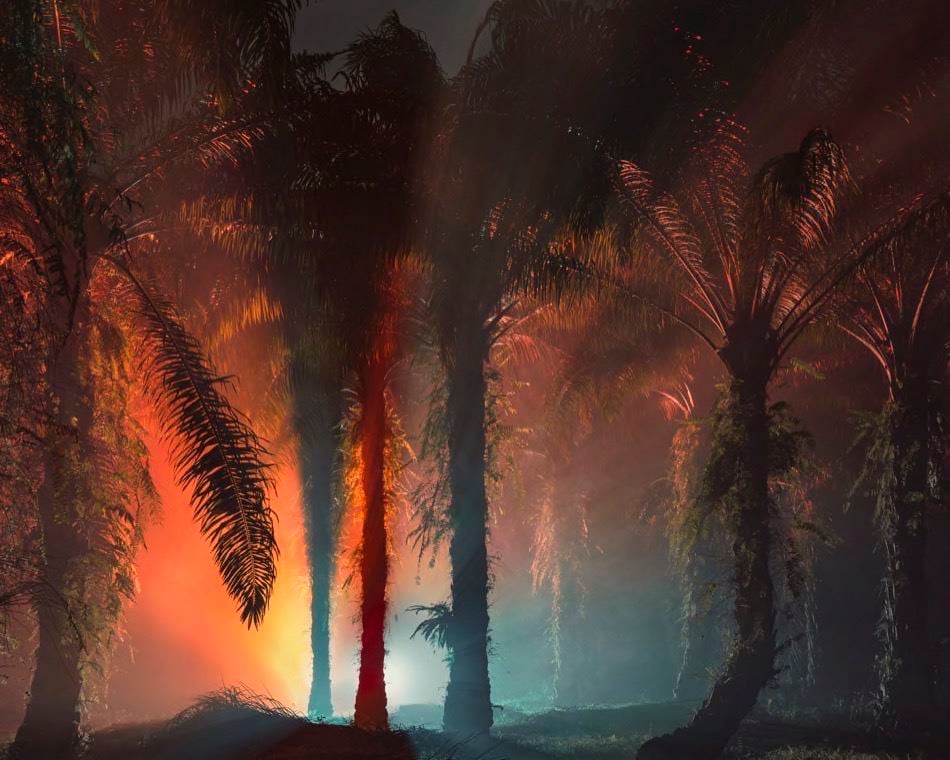 Julian Charri&egrave;re Sean Kelly