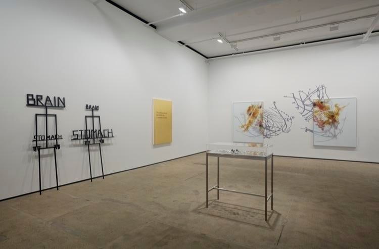 'Pataphysics Sean Kelly Gallery