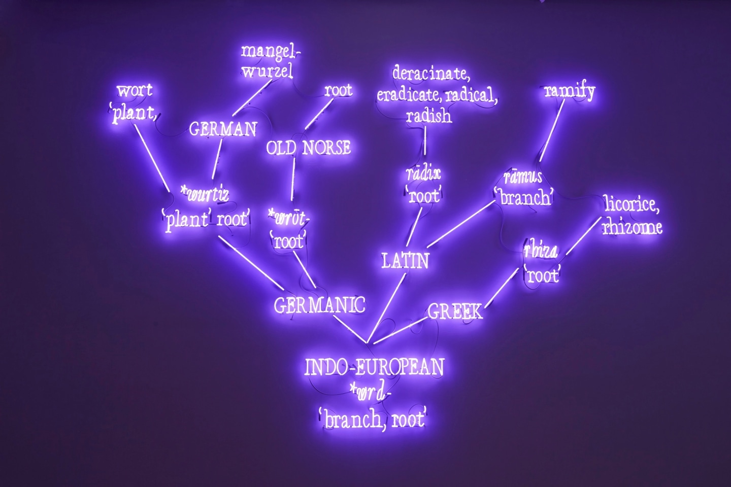 'Agnosia, an Illuminated Ontology' Sean Kelly Gallery