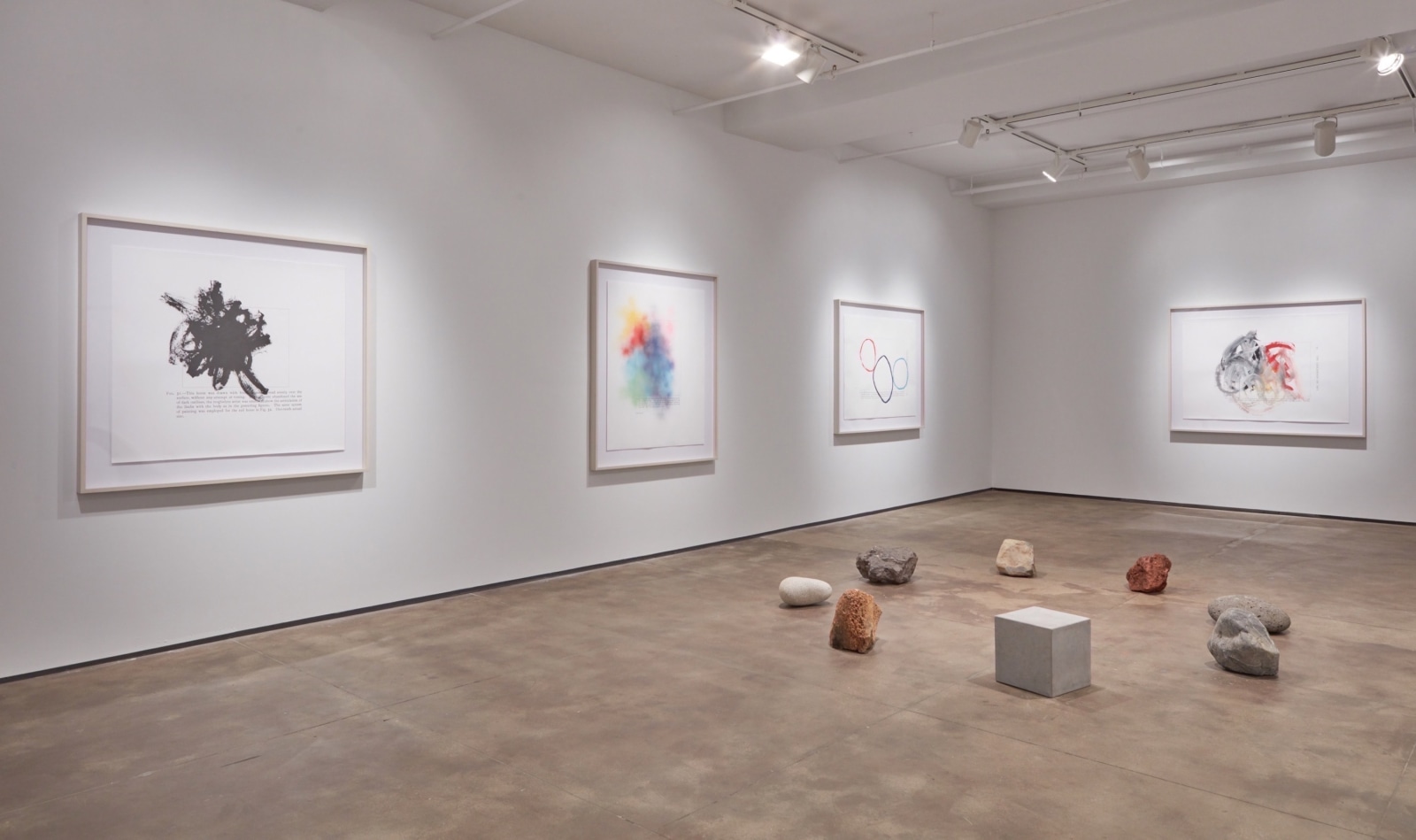 Jose D&aacute;vila Sean Kelly Gallery