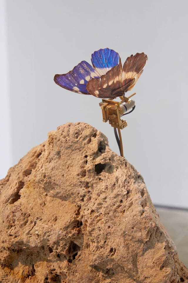Rebecca Horn Sean Kelly Gallery