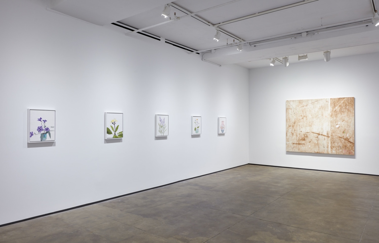 Installation view of Hugo McCloud: Burdened at Sean Kelly, New York