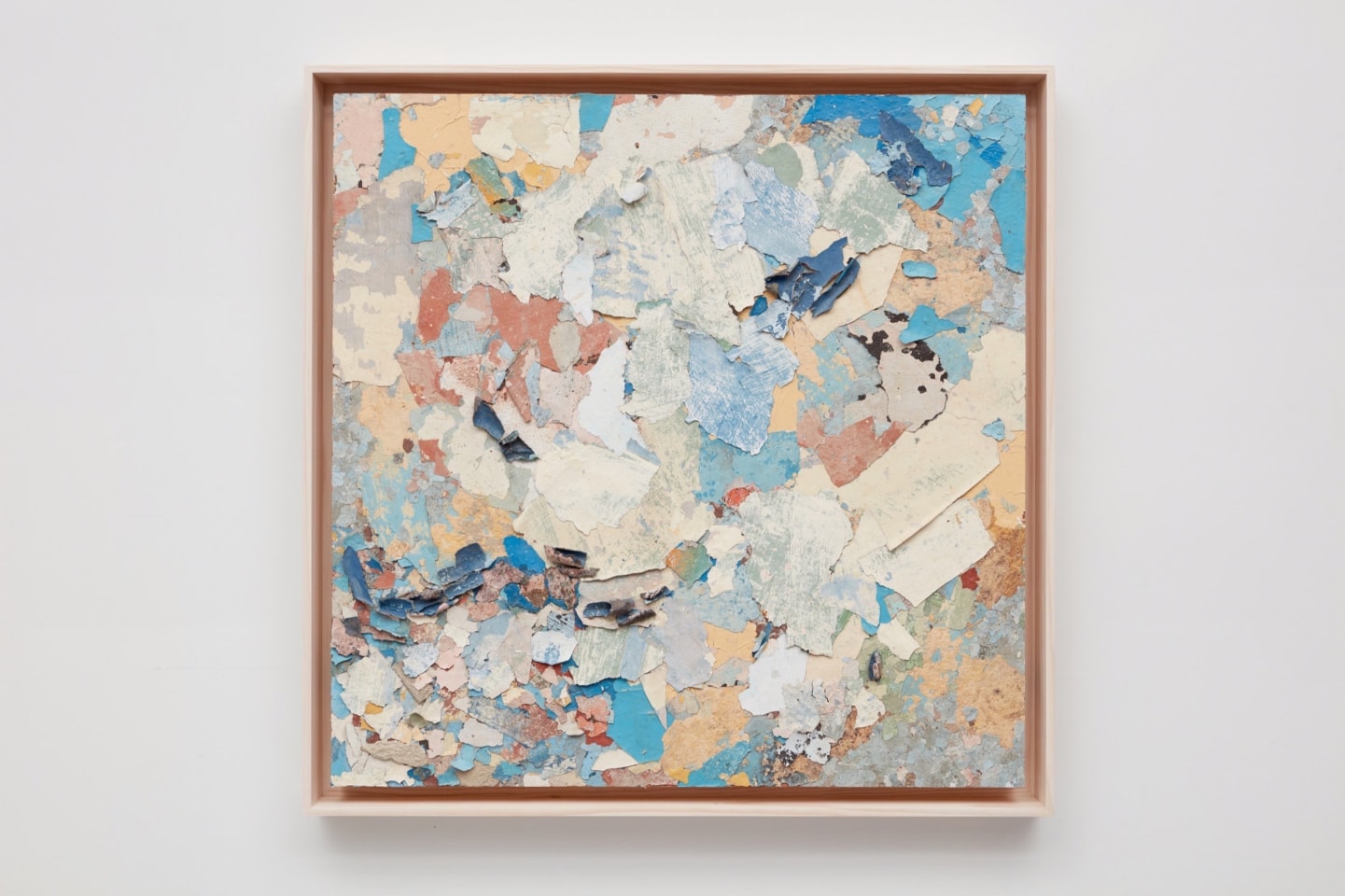 Diana Fonseca Quinones Sean Kelly