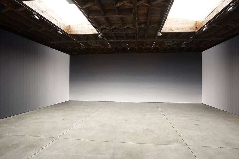 Iran do Espirito Santo Sean Kelly Gallery