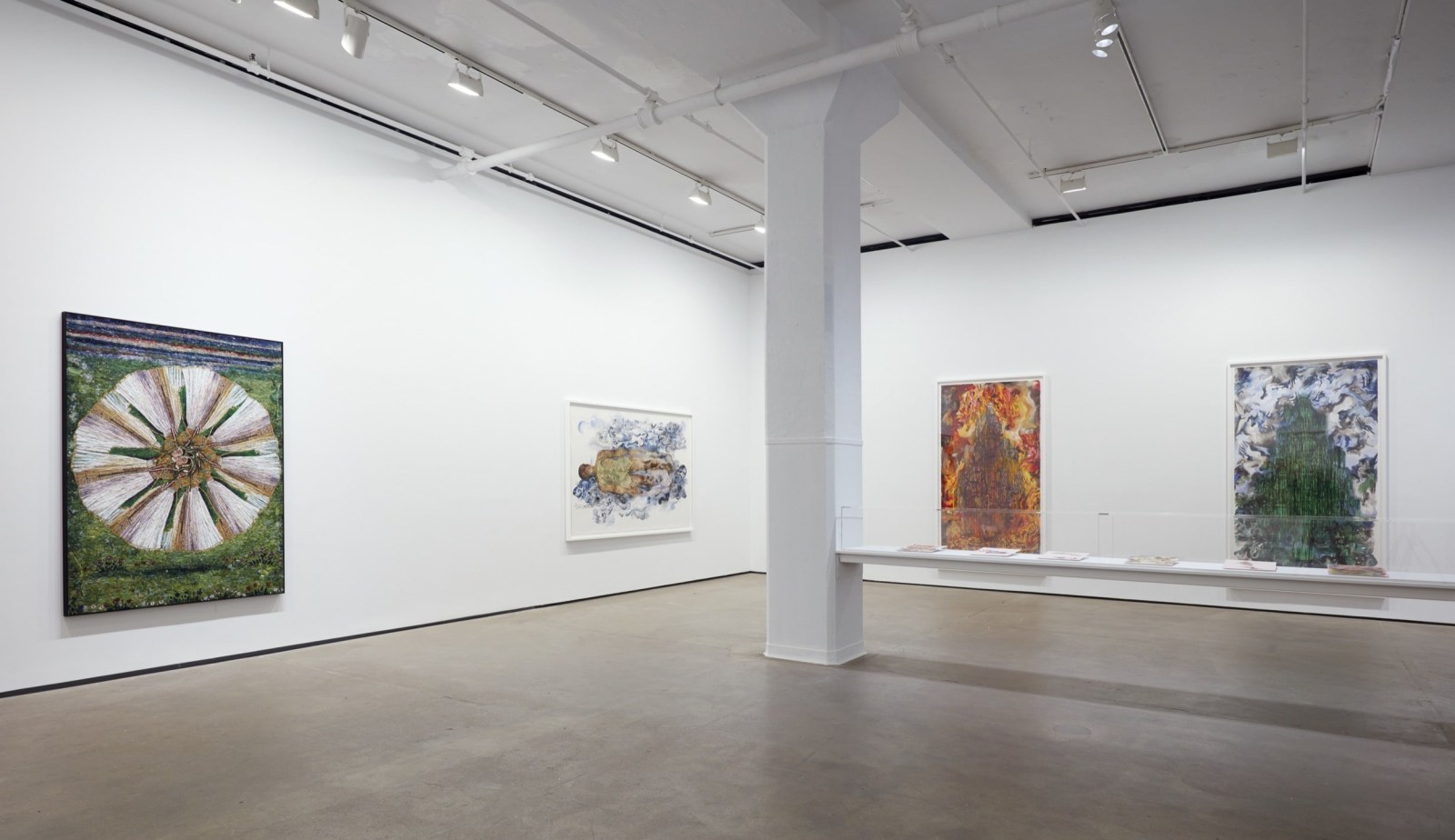 Installation view of Shahzia Sikander: Weeping Willows, Liquid Tongues at Sean Kelly, New York