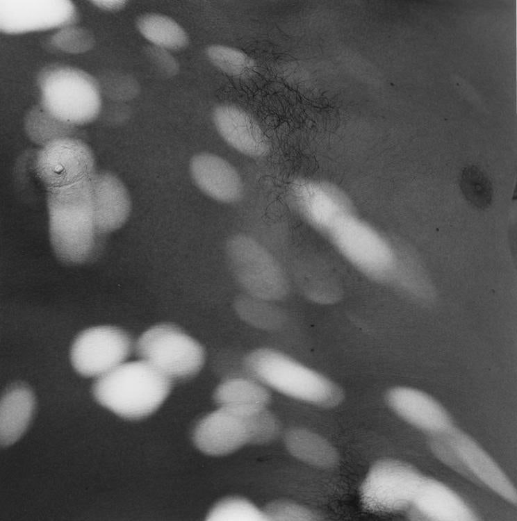 Robert Mapplethorpe Sean Kelly Gallery