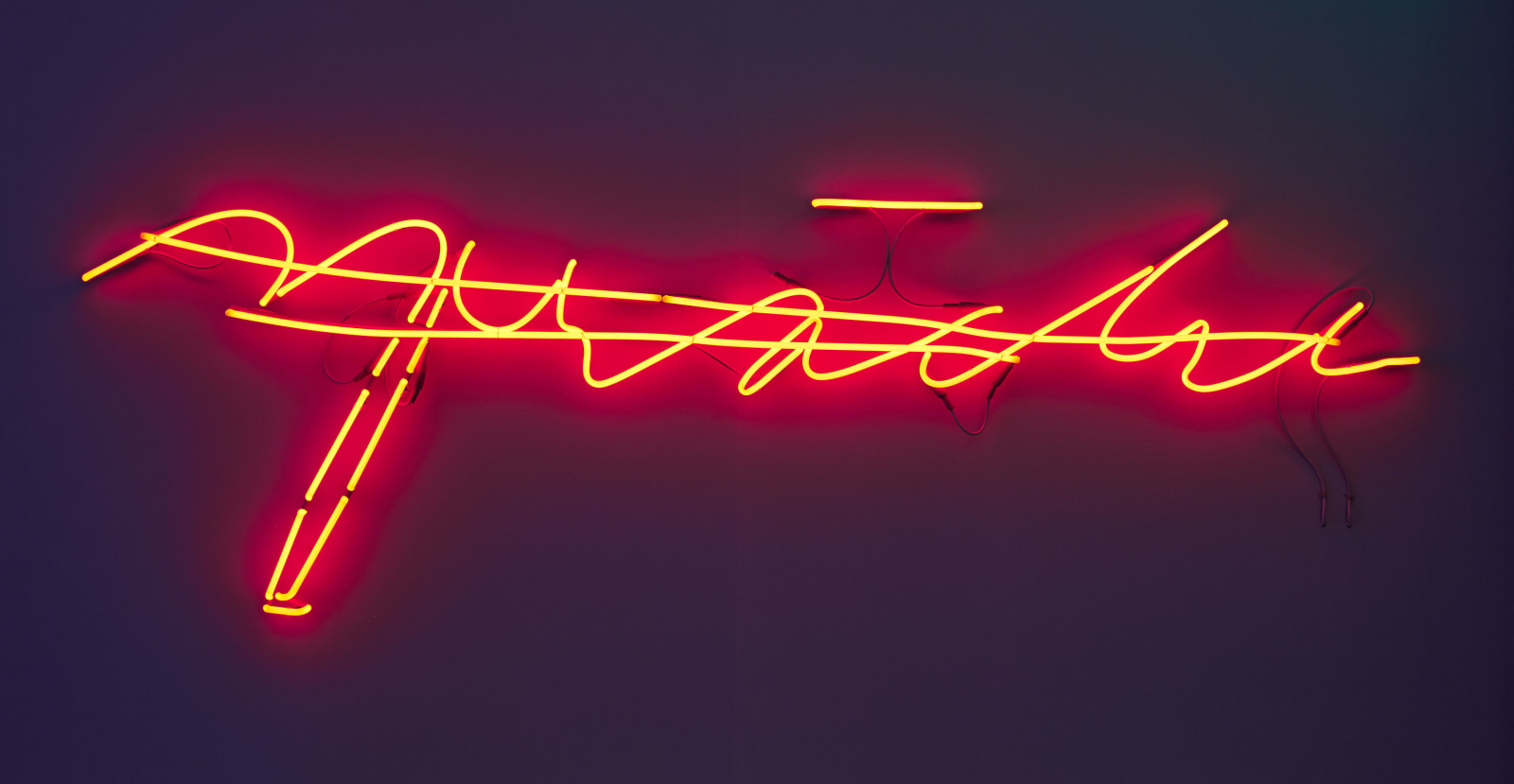 'Agnosia, an Illuminated Ontology' Sean Kelly Gallery