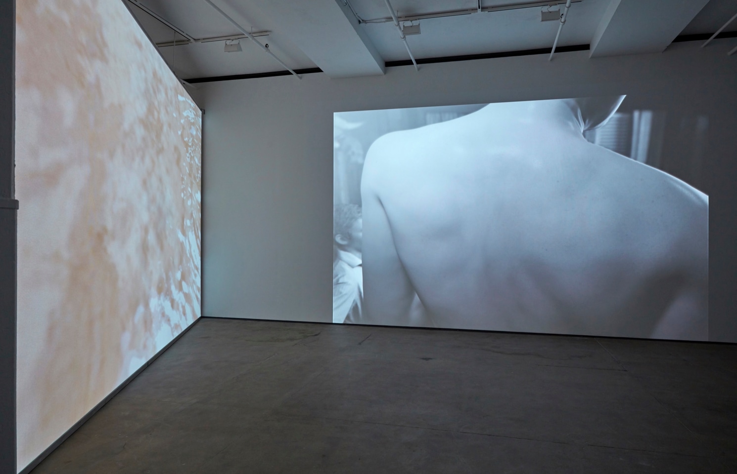 David Claerbout Sean Kelly Gallery
