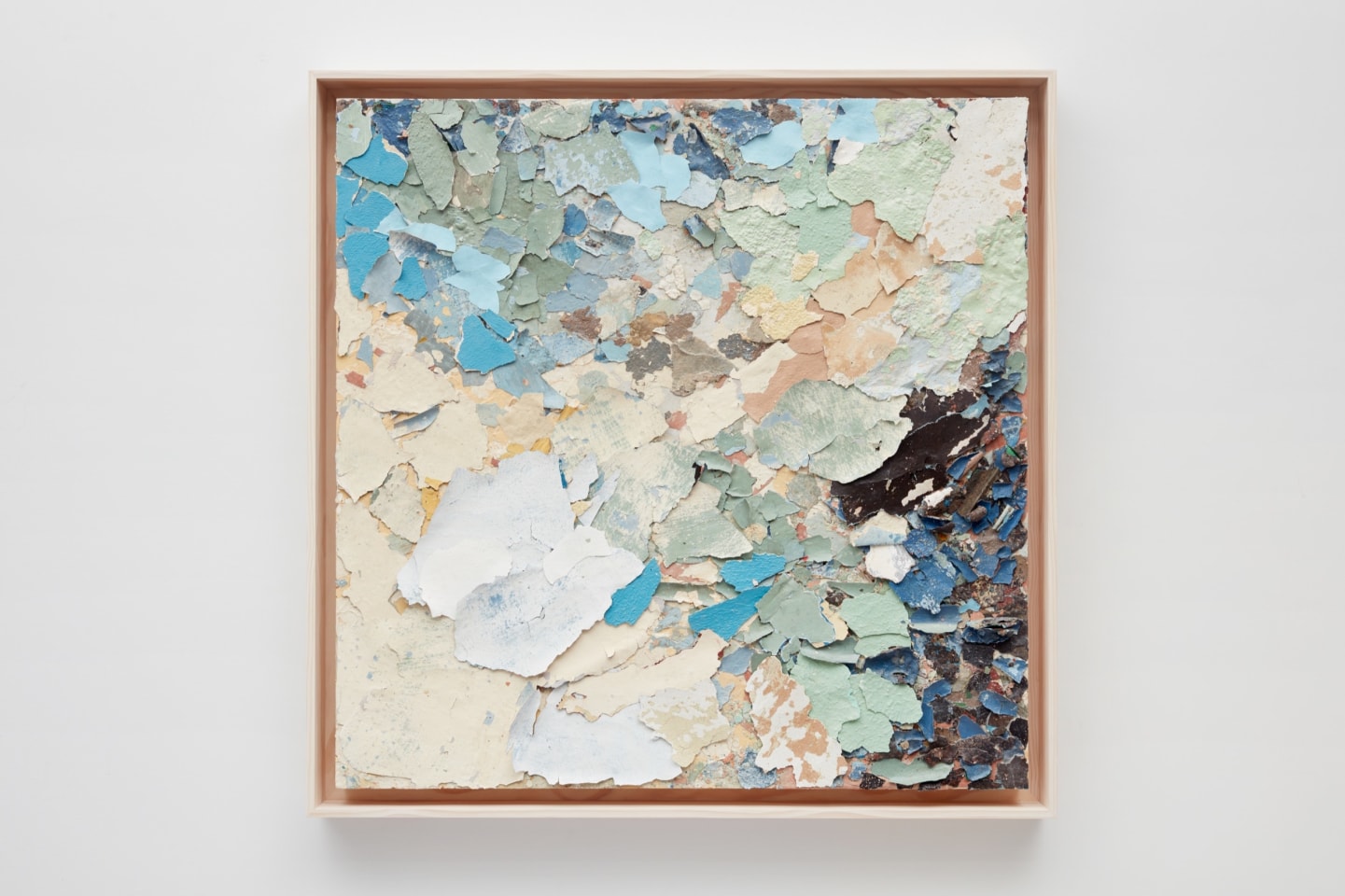 Diana Fonseca Quinones Sean Kelly